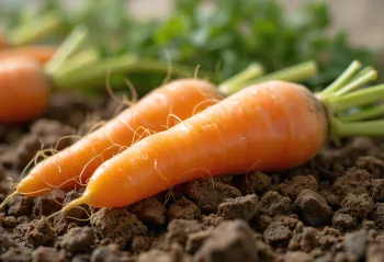 Zanahorias frescas con tallos verdes sobre superficie de madera rústica
